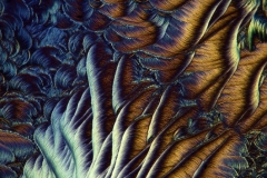 LEK-NA-ODCISKI-MIKROFOTOGRAFIA-10