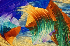 LEK-NA-ODCISKI-MIKROFOTOGRAFIA-13