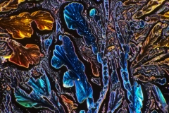 ODCZYNNIK-DO-BADANIA-WODY-MIKROFOTOGRAFIA-10