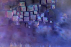 ODCZYNNIK-DO-BADANIA-WODY-MIKROFOTOGRAFIA-4