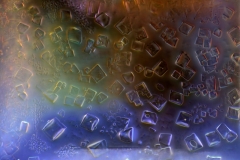 ODCZYNNIK-DO-BADANIA-WODY-MIKROFOTOGRAFIA-5