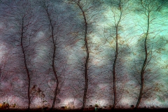 SKRZELOTCHAWKA-LARWY-WAZKI-MIKROFOTOGRAFIA