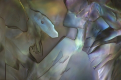 WITAMINA-C-MIKROFOTOGRAFIA-6