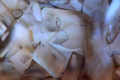 WITAMINA-C-MIKROFOTOGRAFIA-7