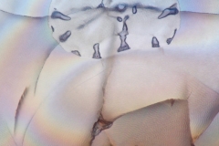 WITAMINA-C-MIKROFOTOGRAFIA-8